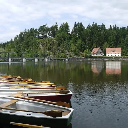 Nyaraló Nr 12b1, Hagbuegerl, Bayr Wald *