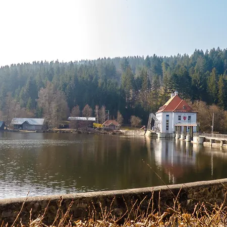 Nr 12b1, Hagbuegerl, Bayr Wald *
