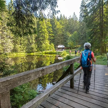 Nr 12b1, Hagbuegerl, Bayr Wald Nyaraló *