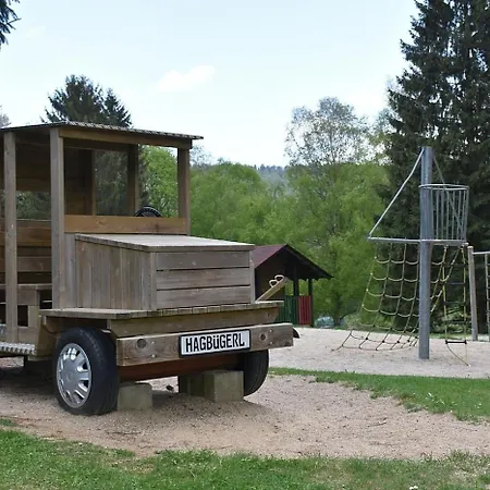 Nr 12b1, Hagbuegerl, Bayr Wald * Waldmünchen