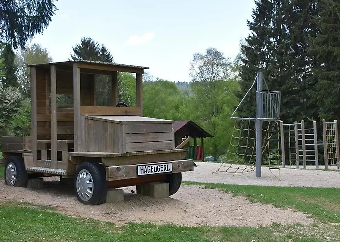 Nr 12b1, Hagbuegerl, Bayr Wald * Waldmünchen